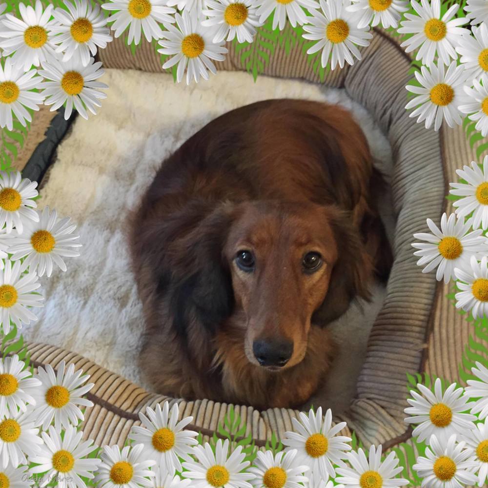 Meet your Posher, Beverly